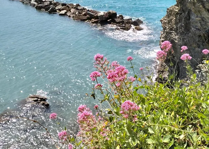 Bb Margherita Seaside, 20 Minutes From The Cinque Terre By Train 게스트하우스 3*
