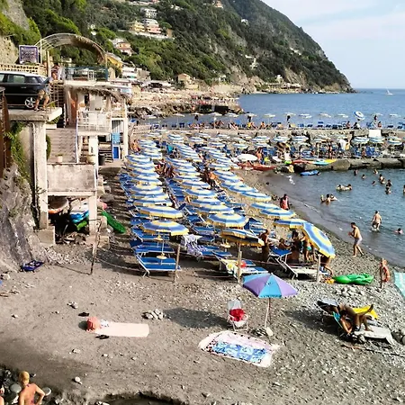 Bb Margherita Seaside, 20 Minutes From The Cinque Terre By Train 招待所 莫内利亚